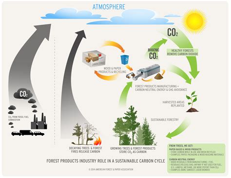 hilde marit kvile|Pathways towards a carbon neutral energy future.